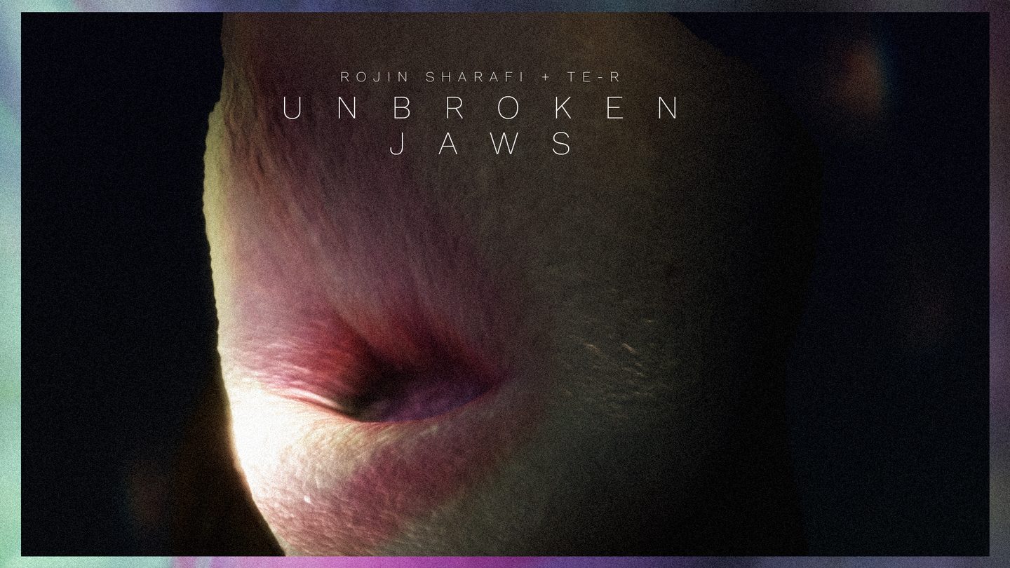 unbroken jaws